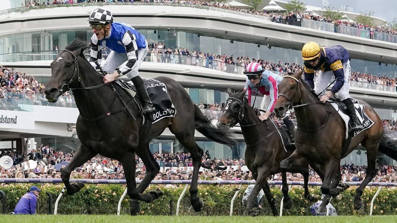From silos to synergy—empowering Racing Victoria with a customer-centric CRM to connect clubs, owners, and fans like never before.